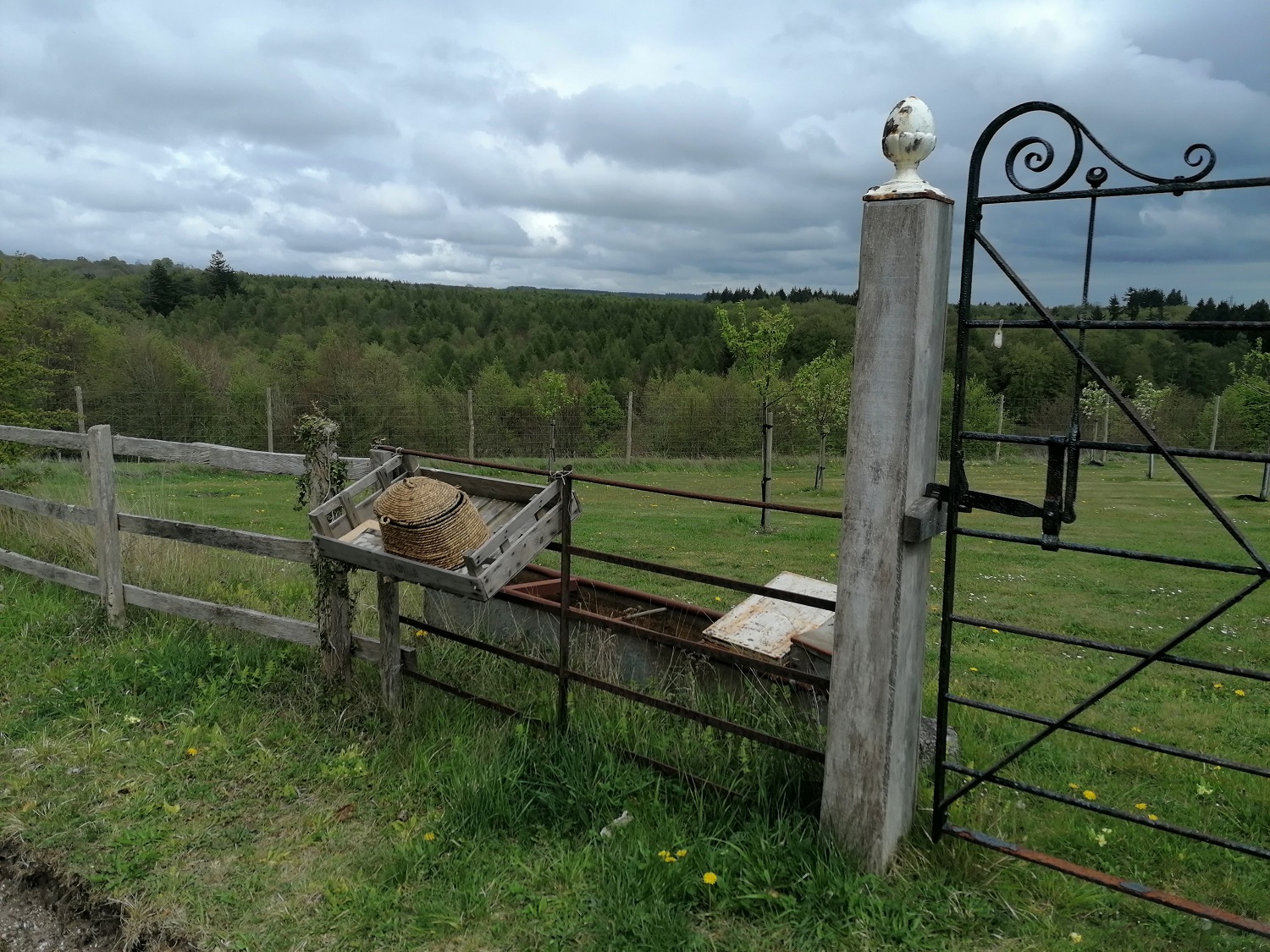 Traditional old fashioned country pubs in the South Downs